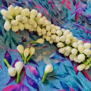 Jasmine Open Bud String